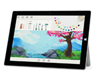 荔波Surface 无法开启、Windows 无法启动或电池无法充电